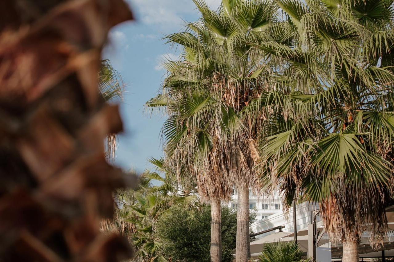 Klajdi Resort & Spa Голем Экстерьер фото Palm trees in the city